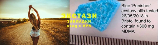 гашик Алексин
