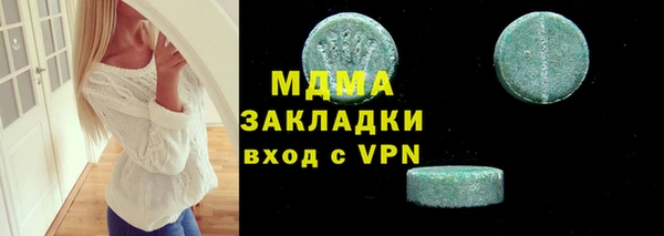 гашик Алексин
