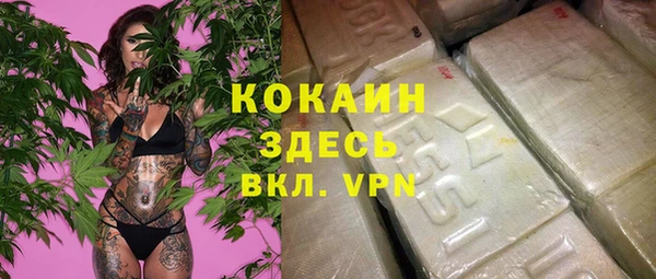 ПСИЛОЦИБИНОВЫЕ ГРИБЫ Аркадак