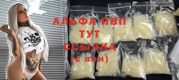 гашик Алексин
