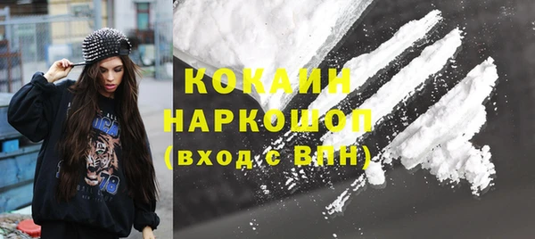 гашик Алексин