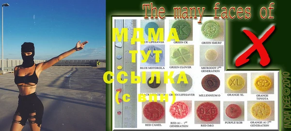 гашик Алексин