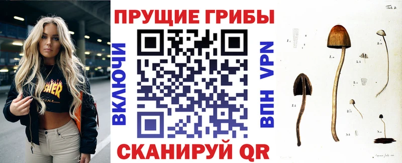 мориарти телеграм  Ленинск  Галлюциногенные грибы мухоморы 